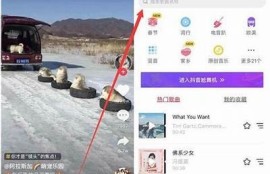 探索抖音TV：全方位解析douyin.ca的精彩内容与功能
