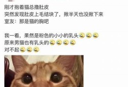抖阴新乐园：探秘可爱猫咪的欢乐世界，与你的萌宠一起快乐游玩！