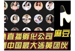 md1.pub麻豆传媒映画：探索最新热门影片与精彩内容