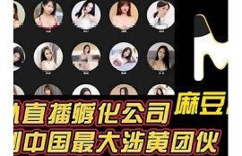 探索麻豆传媒特有资源，助力创作者达成收入增长
