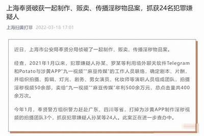 麻豆传媒最新作品评测：深度解析与观看体验分享