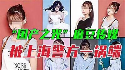在哪里可以观看麻豆传媒的视频资源？探索最新获取途径！