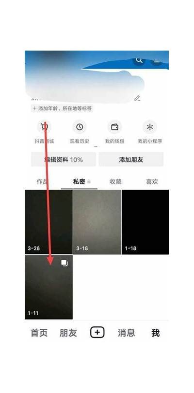 揭秘抖音VIP破解方法，轻松获取高级特权