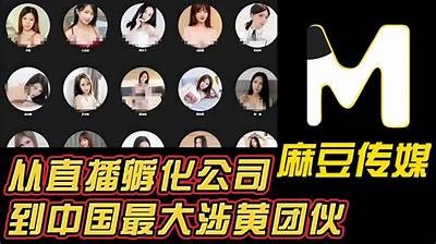 麻豆果冻传媒网址发布最新影视资源，尽享热剧与大片，快来体验！