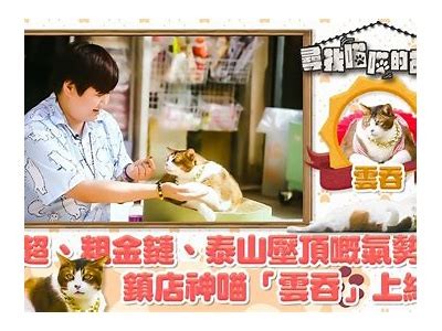 快猫快狐：探秘猫咪的可爱与魅力，抖阴视频引发热潮！