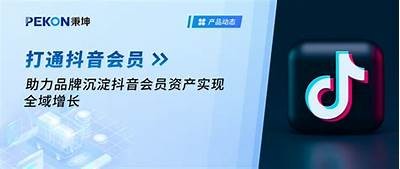 抖音VIP账号共享平台：畅享无广告优质内容体验！