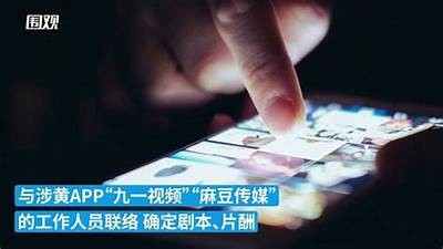 麻豆视传媒：引领视频内容创作与传播的新锐公司