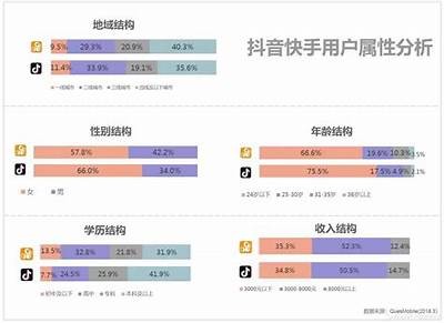 抖音平台详解：功能、用户特点与发展前景调查