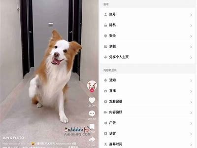 最新抖音破解版安卓下载：畅享无限精彩视频体验