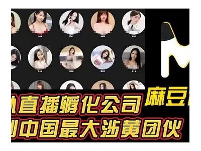 探索麻豆传媒视频：最新热门内容一网打尽
