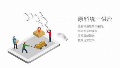 深入研究：麻豆传媒的风险与安全性评估