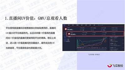 抖音短视频流量秘籍：如何高效传播8MB精彩内容