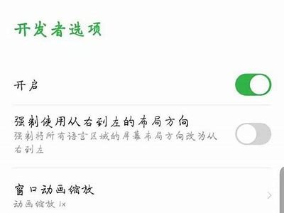 详细步骤：如何在安卓手机上下载麻豆传媒使用