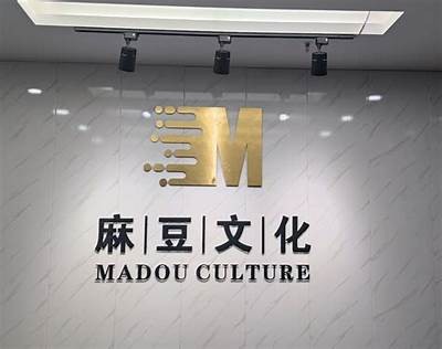 麻豆制片厂：创新传媒制作的领军者，助力影视产业腾飞