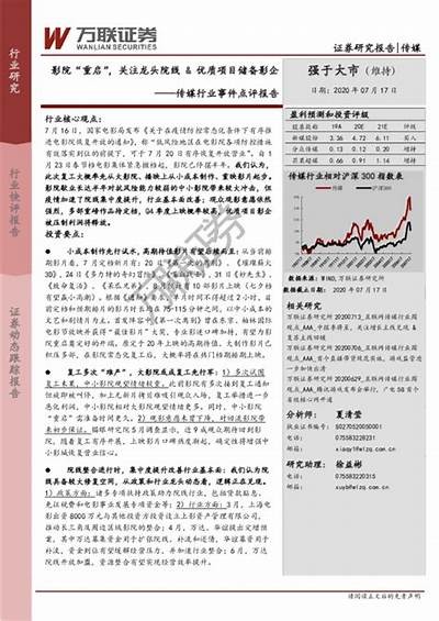 麻豆传媒2023年度销售业绩调查与市场展望
