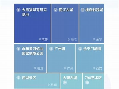 揭秘抖音非官方版下载：安全性与使用体验检视