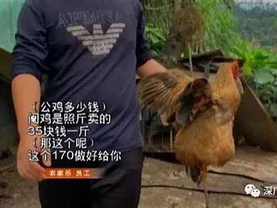 麻豆传媒无限看下载，全新高清资源免费获取方法揭秘