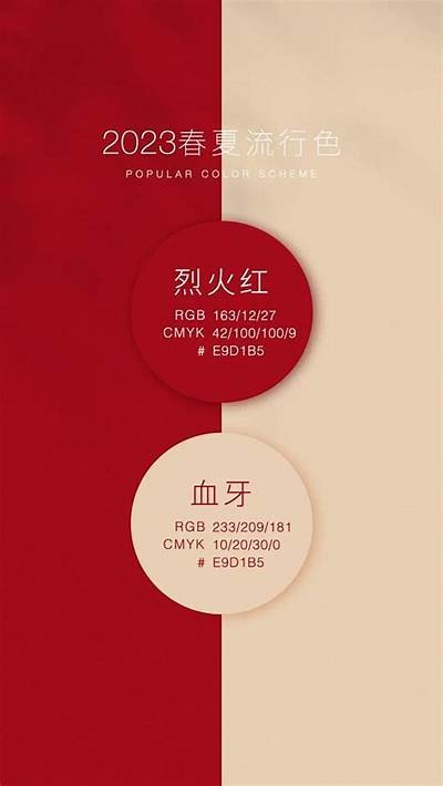 抖音热门视频资源大集合，轻松获取潮流短视频