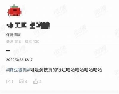 麻豆传媒是否值得购买？彻底研究投资价值与行业前景