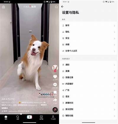 2023最新抖阴苹果破解版免费下载，畅享无广告体验