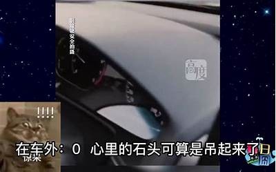 探索快猫抖阴：完整解析最新社交视频平台优势与特点