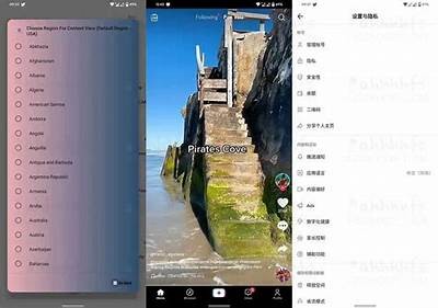 抖音国际版破解下载：畅享无限精彩视听体验!