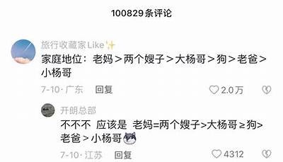 揭秘抖音平台黄标背后的影响与应对策略