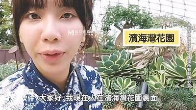 探索麻豆传媒吴梦梦的精彩世界与成长故事
