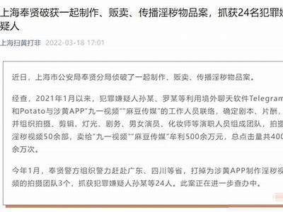深入研究：麻豆传媒的风险与安全性评估