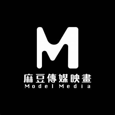 揭开麻豆有限传媒公司的面纱：业务、目标与未来发展