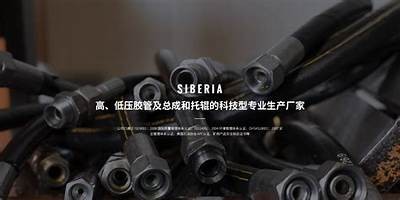 免费在线观看麻豆床传媒最新影视内容，畅享精彩视频体验