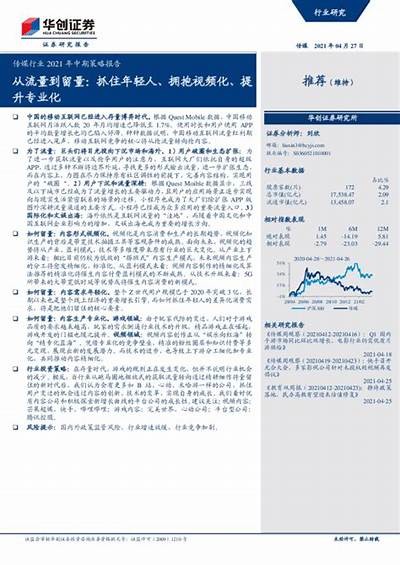 麻豆传媒2023年度销售业绩调查与市场展望
