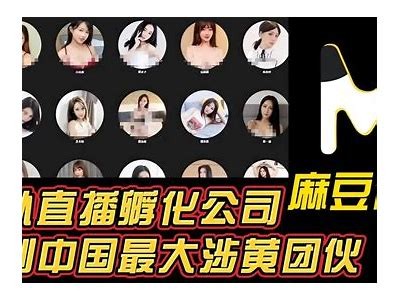 麻豆传媒流出视频全解析：揭示背后的故事与影响