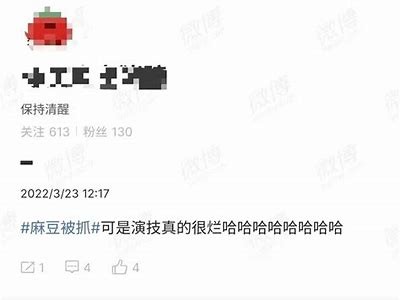 麻豆视传媒的真实影响：它是有毒还是无害？
