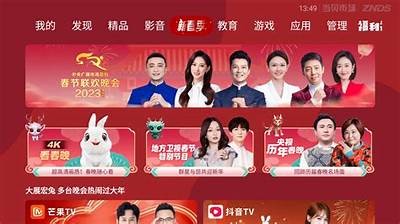 2025春晚精彩回顾与抖阴APP使用技巧研究